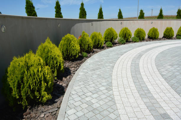 Best Decorative Driveway Pavers  in Windsor, IL